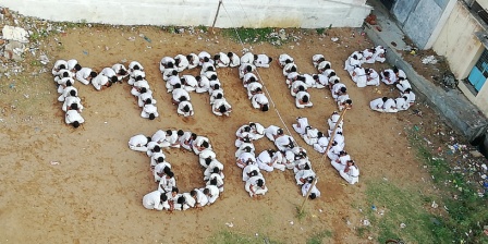682